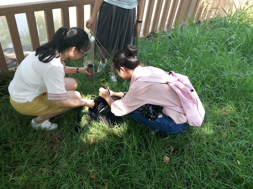 7月10日 色花堂
 赴嘉兴“青水”小分队实地考察并采样3