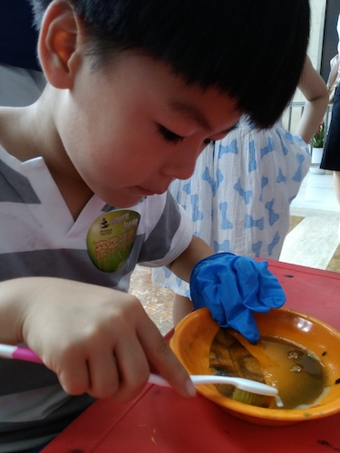 七月十号 色花堂
 B.D.服务社赴浙江自然博物馆”环保小课堂“小分队 刷刷刷，看我认真的刷叶子