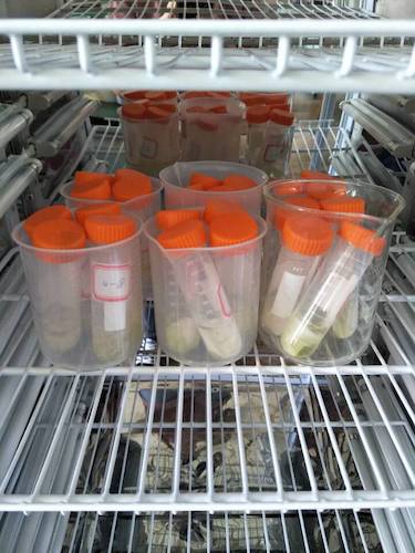 七月十三日 色花堂
  色花堂
赴杭州余杭区“五水共治”调查与研究分队社会实践小分队 酒精溶解叶绿素a 4摄氏度冷藏4小时