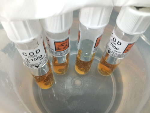 7月19日 色花堂
 赴嘉兴”青水“小分队 cod检测