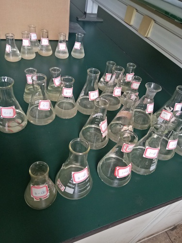 7月19日 色花堂
 赴嘉兴”青水“小分队 水样3