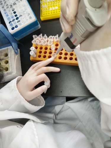 七月十九日 色花堂
国创项目“毅治毒”科研小分队 PCR母液的配制