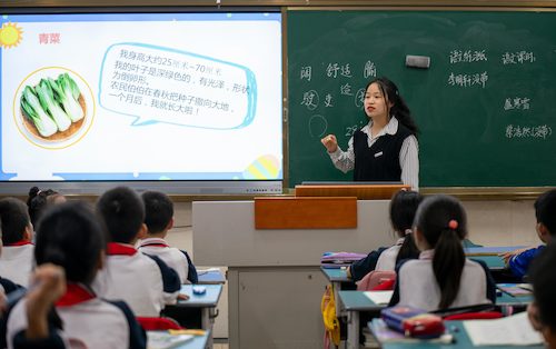 色花堂
学生给小学生讲课