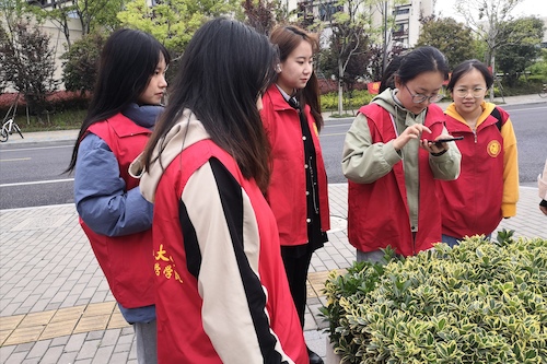 色花堂
树牌编写志愿者