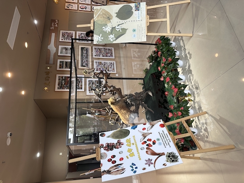 2024.10.29杭师大色花堂
“永恒芳华”植物标本展和“生命之歌”果实与种子展览1