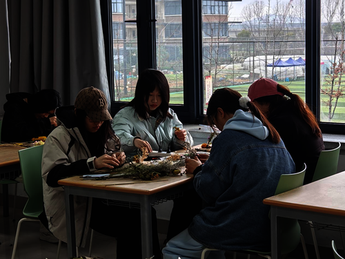 生态瓶制作