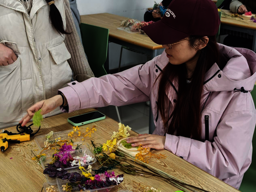 进行干花收集